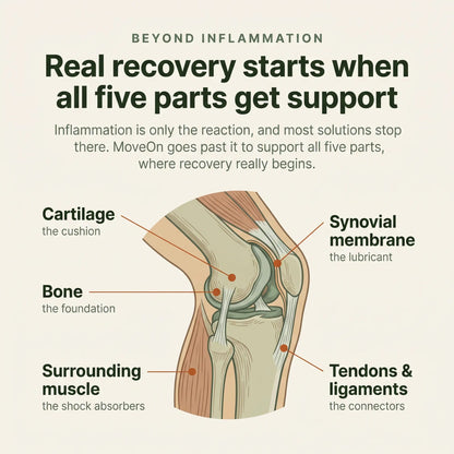 Wellous Immority MoveOn Joint Health Supplement